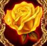 Скаттер символ - желтая роза